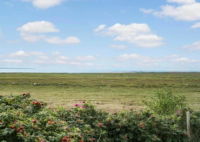 Feriehus 0332-romo-sonder-frankel-38 Havneby